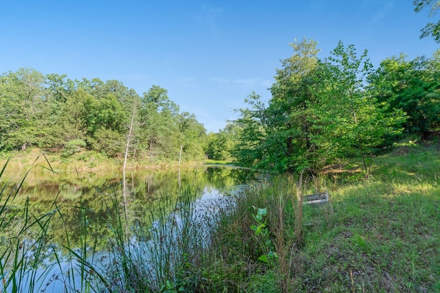 3893 E Fm 906, Powderly, TX 75473 - water view featuring a heavily wooded area