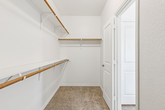 5016 Coney Island Dr, Frisco, TX 75036 - spacious closet with carpet