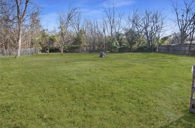 503 SW 15th Ave, Mineral Wells, TX 76067 - view of yard