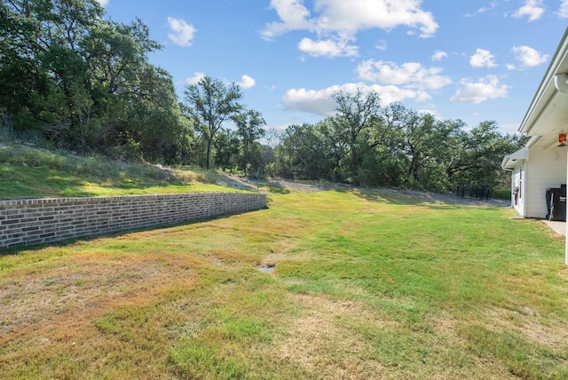 355 Sunset Cv, Bluff Dale, TX 76433 - view of grassy yard