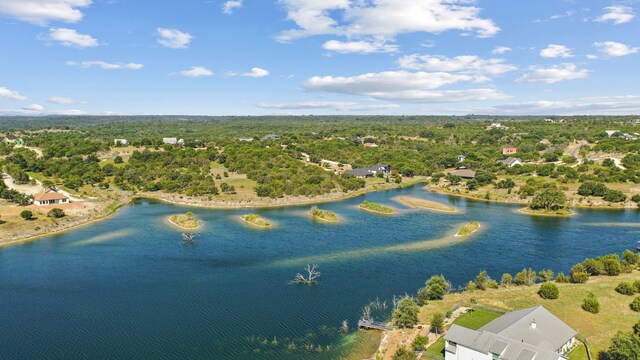 355 Sunset Cv, Bluff Dale, TX 76433 - bird's eye view of a nearby body of water and a heavily wooded area