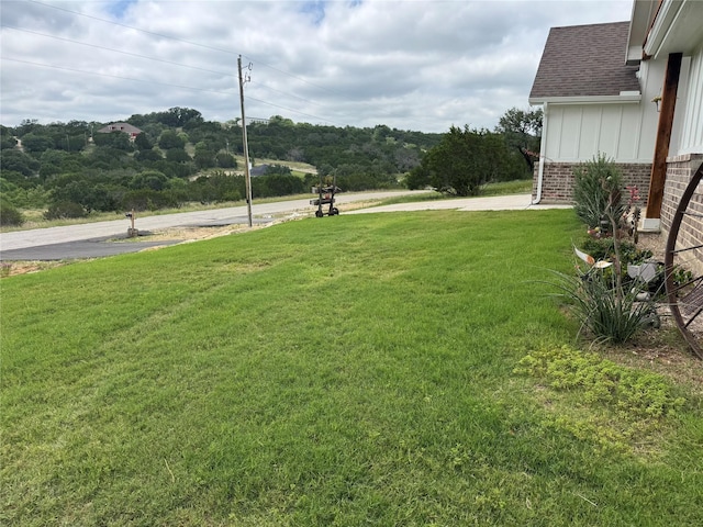355 Sunset Cv, Bluff Dale, TX 76433 - view of green lawn