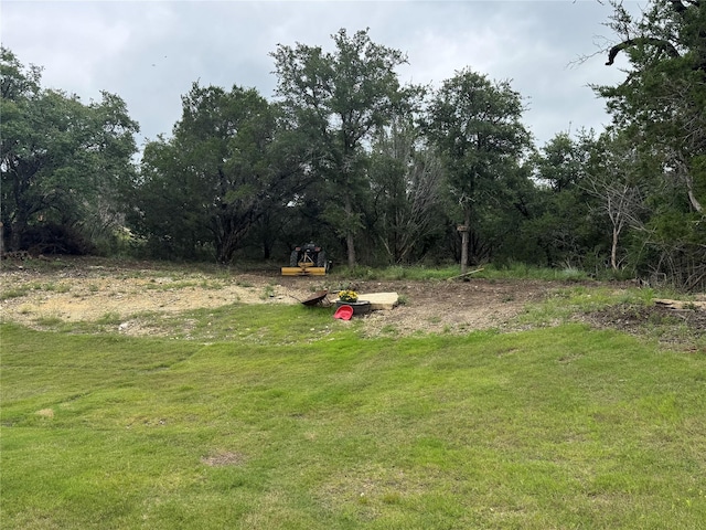355 Sunset Cv, Bluff Dale, TX 76433 - view of yard