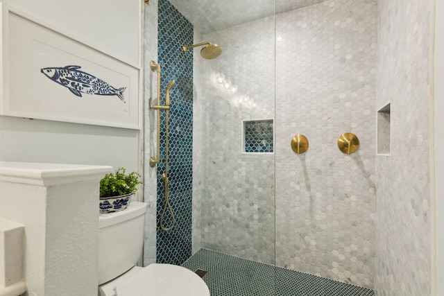 4055 Seabury Dr, Dallas, TX 75287 - full bathroom featuring toilet and a walk in shower