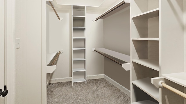 7349 Wildflower Way, Abilene, TX 79602 - walk in closet with carpet