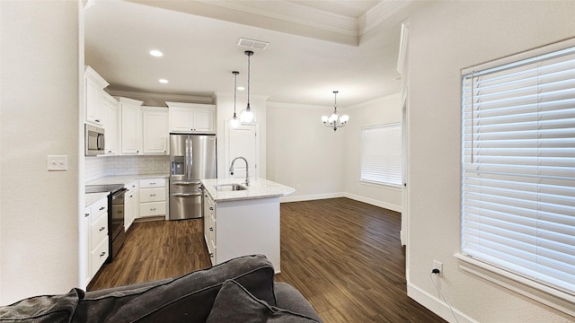 7349 Wildflower Way, Abilene, TX 79602 - kitchen with appliances with stainless steel finishes, a sink, crown molding, dark wood-type flooring, and open floor plan