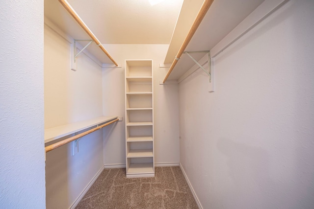 4404 Bentley Dr, Plano, TX 75093 - walk in closet featuring carpet floors