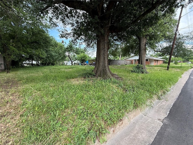 430 Cranford St, Sulphur Springs, TX 75482 - view of yard