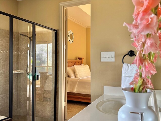 1801 Monaco Dr, Corinth, TX 76210 - full bathroom featuring a stall shower, crown molding, and vanity
