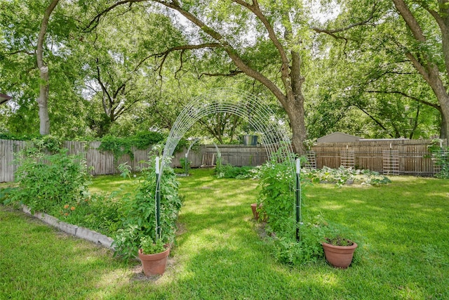 366 W Blackjack St, Dublin, TX 76446 - view of yard