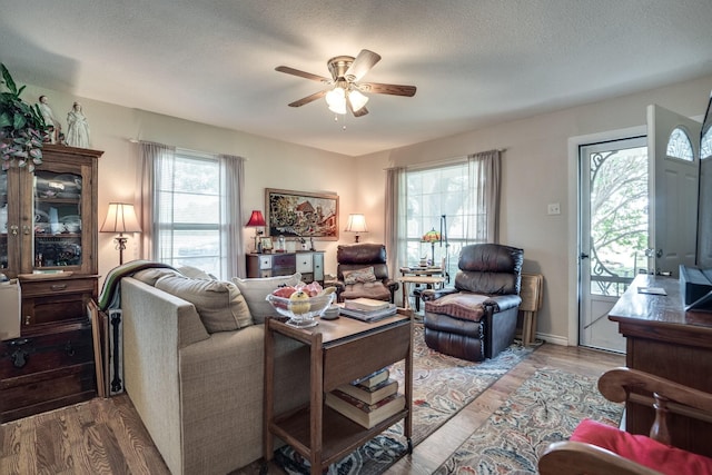 201 S Lake Dallas Dr, Lake Dallas, TX 75065 - living room with a ceiling fan, plenty of natural light, wood finished floors, and a textured ceiling