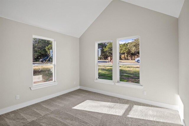 1621 S Chisholm Trl, Granbury, TX 76048 - unfurnished room featuring carpet flooring, lofted ceiling, and baseboards