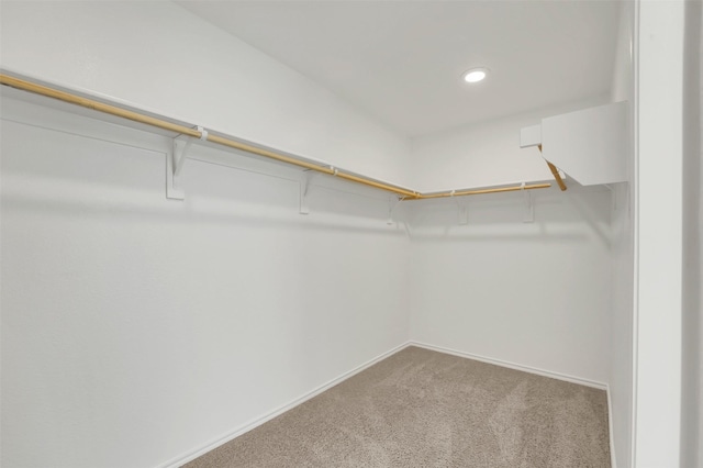 4311 Cordata Dr, Melissa, TX 75454 - walk in closet featuring carpet flooring