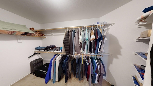 2008 Pine Knot Dr, Heartland, TX 75126 - spacious closet with carpet floors