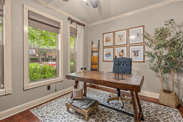 1702 Clarke Springs Dr, Allen, TX 75002 - office featuring dark wood-style flooring, crown molding, and a ceiling fan