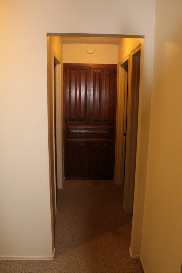 1424 Valley Trl, Mesquite, TX 75149 - hallway with dark carpet and baseboards