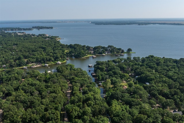 147 Carolynn Rd, Mabank, TX 75156 - bird's eye view of a nearby body of water and a forest
