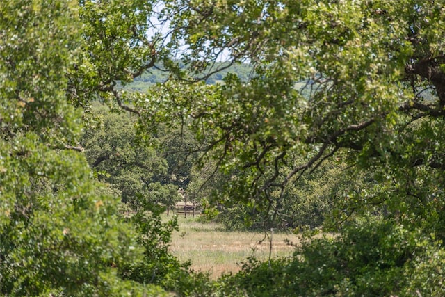 1001 County Road 419, Coleman, TX 76834