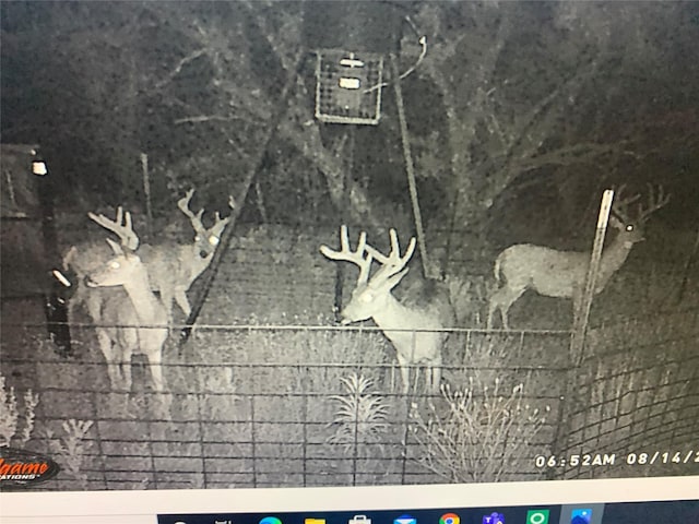 1001 County Road 419, Coleman, TX 76834