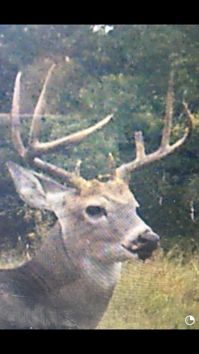 1001 County Road 419, Coleman, TX 76834