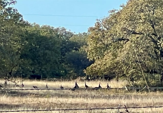 1001 County Road 419, Coleman, TX 76834