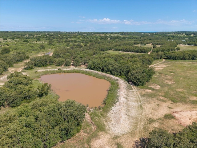 1001 County Road 419, Coleman, TX 76834
