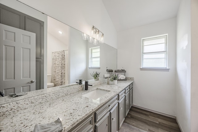 4612 Applewood Rd, Fort Worth, TX 76133 - full bath with toilet, vanity, wood finished floors, and lofted ceiling