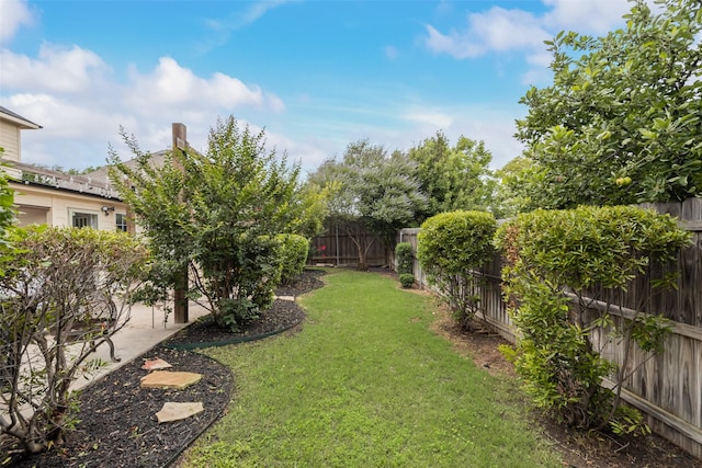 11808 Warbler Ln, Fort Worth, TX 76244 - view of yard with a patio area