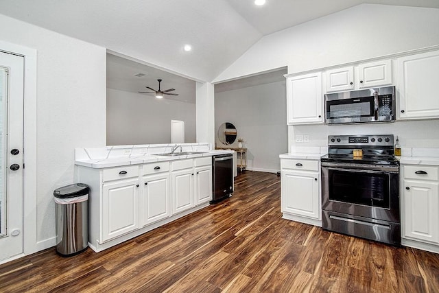 1117 Marcia Ln, Burleson, TX 76028 - kitchen featuring appliances with stainless steel finishes, a sink, lofted ceiling, a ceiling fan, and light countertops