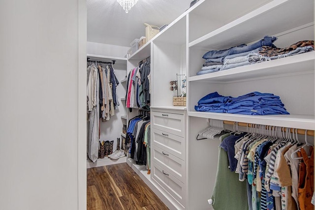 1117 Marcia Ln, Burleson, TX 76028 - walk in closet with dark wood-style flooring
