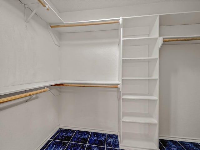 7900 Marsh Ct, Fort Worth, TX 76123 - view of spacious closet