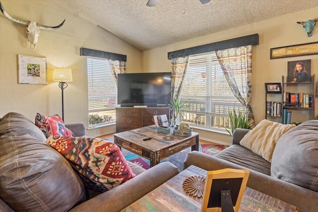 1320 Laredo Dr, Granbury, TX 76048 - living area featuring a textured ceiling and lofted ceiling