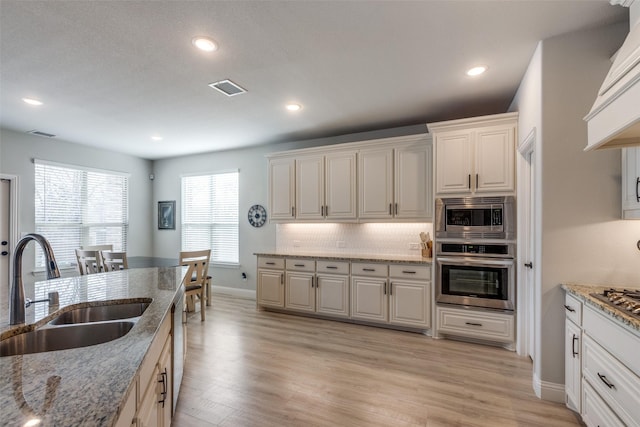 1421 Cedar Creek Dr, Anna, TX 75409 - kitchen featuring stainless steel appliances, a sink, light wood-type flooring, tasteful backsplash, and recessed lighting