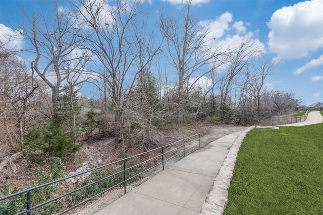 1421 Cedar Creek Dr, Anna, TX 75409 - view of home's community with a lawn