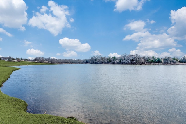 1421 Cedar Creek Dr, Anna, TX 75409 - water view
