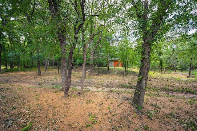230 Mitchell Blvd, Weatherford, TX 76087 - view of yard with a wooded view