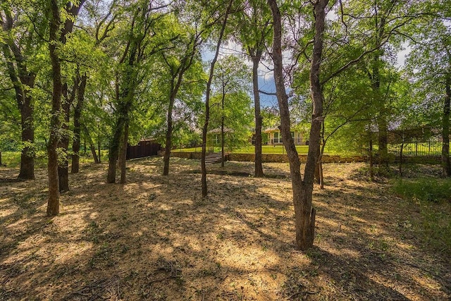 230 Mitchell Blvd, Weatherford, TX 76087 - view of nature