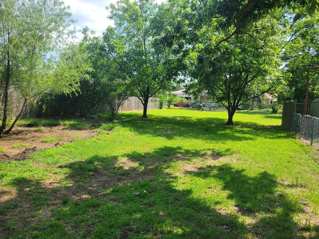 316 Charlie Dr, Whitesboro, TX 76273 - view of yard