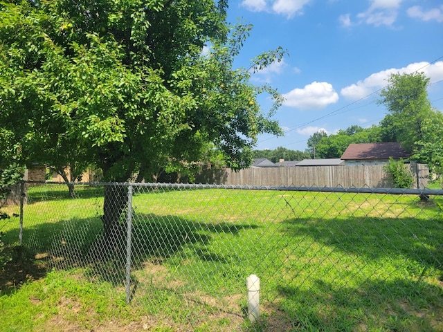 316 Charlie Dr, Whitesboro, TX 76273 - view of yard