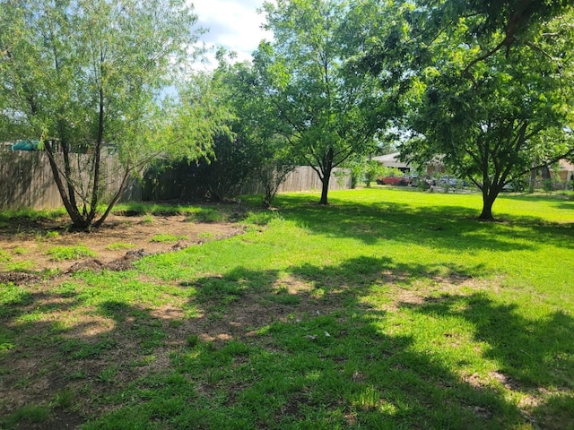 316 Charlie Dr, Whitesboro, TX 76273 - view of yard