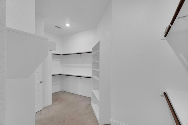 449 Hillstone Dr, Midlothian, TX 76065 - spacious closet with light colored carpet