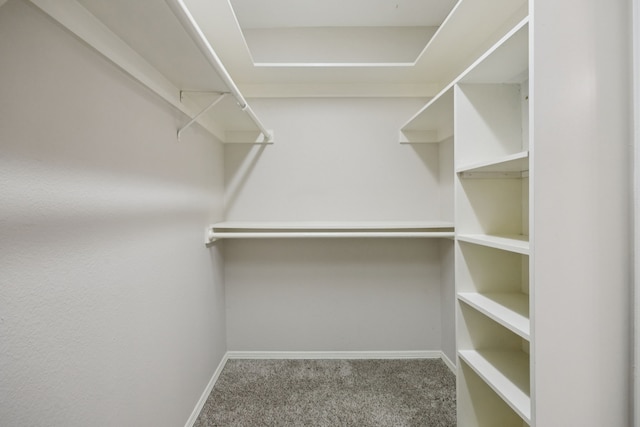 5836 Oram St, Dallas, TX 75206 - spacious closet featuring carpet flooring