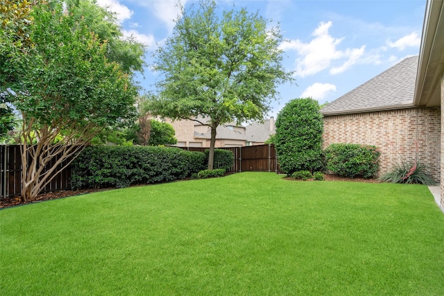 843 Bear Crossing Dr, Allen, TX 75013 - view of yard