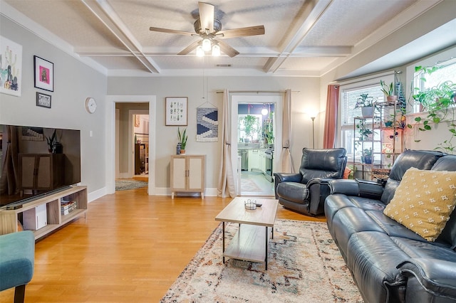 2108 Fairmount Ave, Fort Worth, TX 76110 - living room with coffered ceiling, healthy amount of natural light, a ceiling fan, light wood finished floors, and beamed ceiling