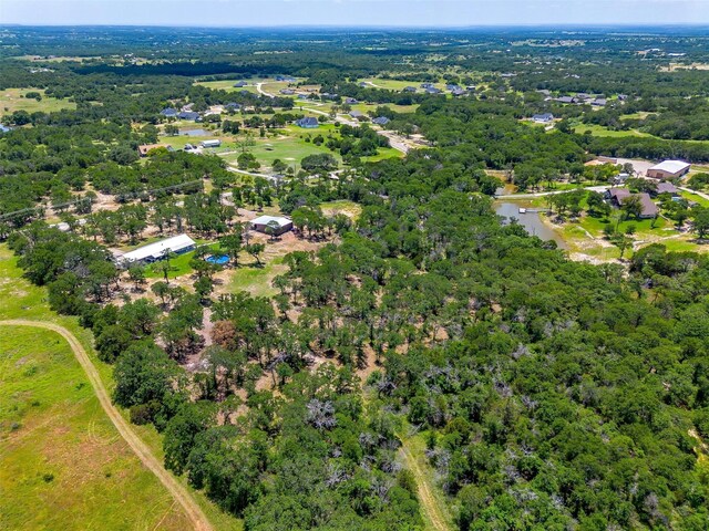 1107 Perkins Rd, Poolville, TX 76487 - aerial view of property and surrounding area
