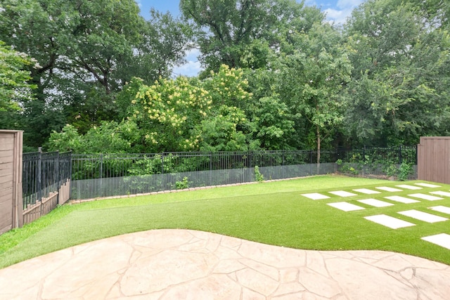 1416 Tangle Ridge Dr, Mckinney, TX 75071 - view of yard with a patio