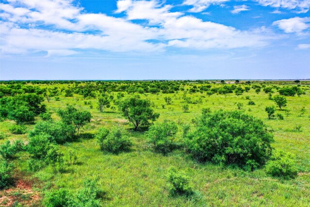 5260 County Road 268, Anson, TX 79501 - view of undeveloped land