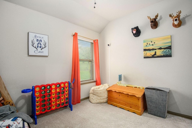 407 Dill Rd, Weatherford, TX 76085 - sitting room featuring carpet flooring and lofted ceiling