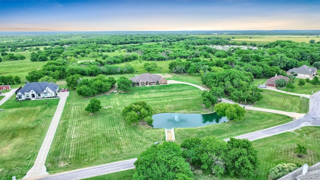 128 Whispering Winds Dr, Gunter, TX 75058 - aerial view of property's location with a large body of water