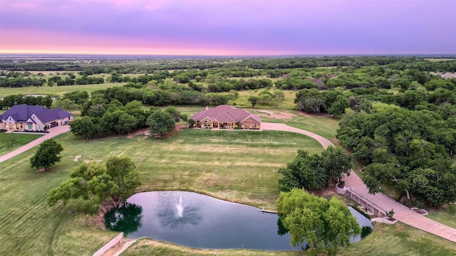 128 Whispering Winds Dr, Gunter, TX 75058 - view from above of property with a nearby body of water